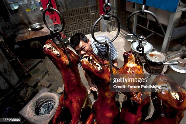Cook roasts crispy-skin dogs in a restaurant on June 21, 2015 in Yulin, China. Yulin's dog meat festival, where some 10,000 dogs are slaughtered and...