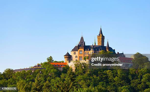 wernigerode castle, harz, germany - gothic castle stock pictures, royalty-free photos & images