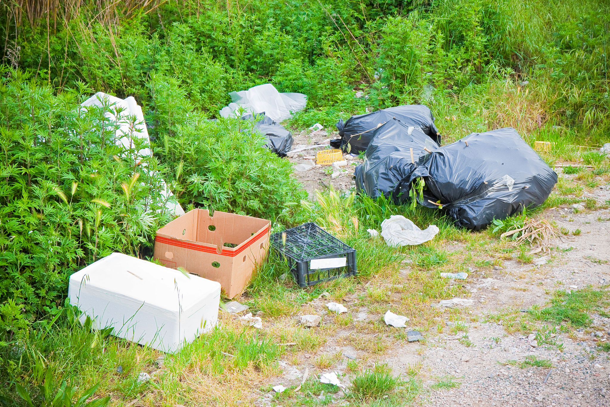 local waste regulations