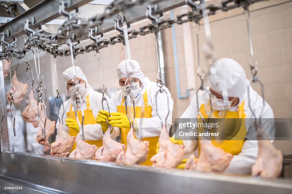 Pessoas que trabalham na fábrica de Frango