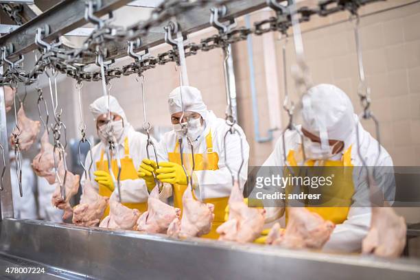 pessoas que trabalham na fábrica de frango - production line imagens e fotografias de stock