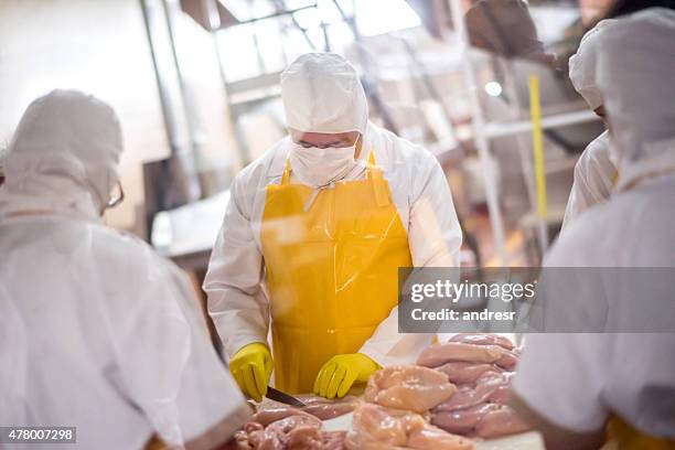 people working at a chicken factory - poultry stock pictures, royalty-free photos & images