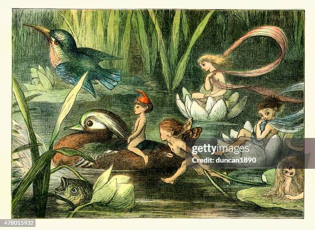 princess nobody - fairy and nymphs - fairy nymph stock illustrations
