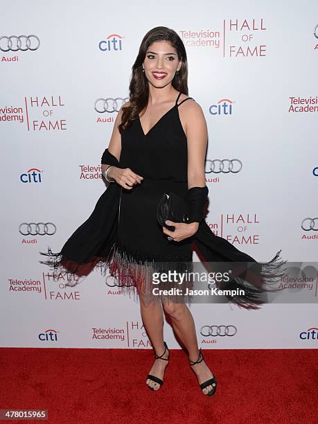 Amanda Setton attends The Television Academy's 23rd Hall Of Fame Induction Gala at Regent Beverly Wilshire Hotel on March 11, 2014 in Beverly Hills,...
