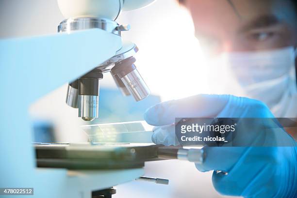 microscope - human hand positions stock pictures, royalty-free photos & images