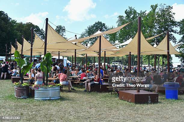 Guests attend day 4 of the Firefly Music Festival on June 21, 2015 in Dover, Delaware.