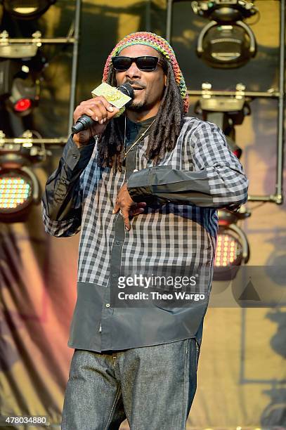 Rapper Snoop Dogg performs onstage during day 4 of the Firefly Music Festival on June 21, 2015 in Dover, Delaware.