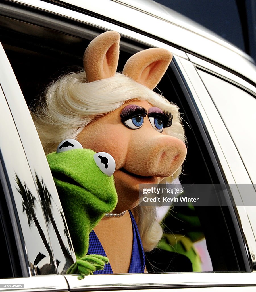 Premiere Of Disney's "Muppets Most Wanted" - Red Carpet