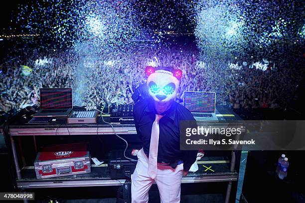 The White Panda performs onstage during day 4 of the Firefly Music Festival on June 21, 2015 in Dover, Delaware.