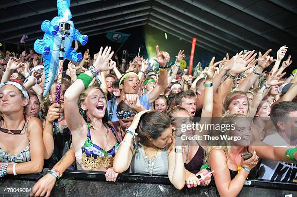 Guests enjoy The Chainsmokers performance during day 4 of the Firefly Music Festival on June 21, 2015 in Dover, Delaware.