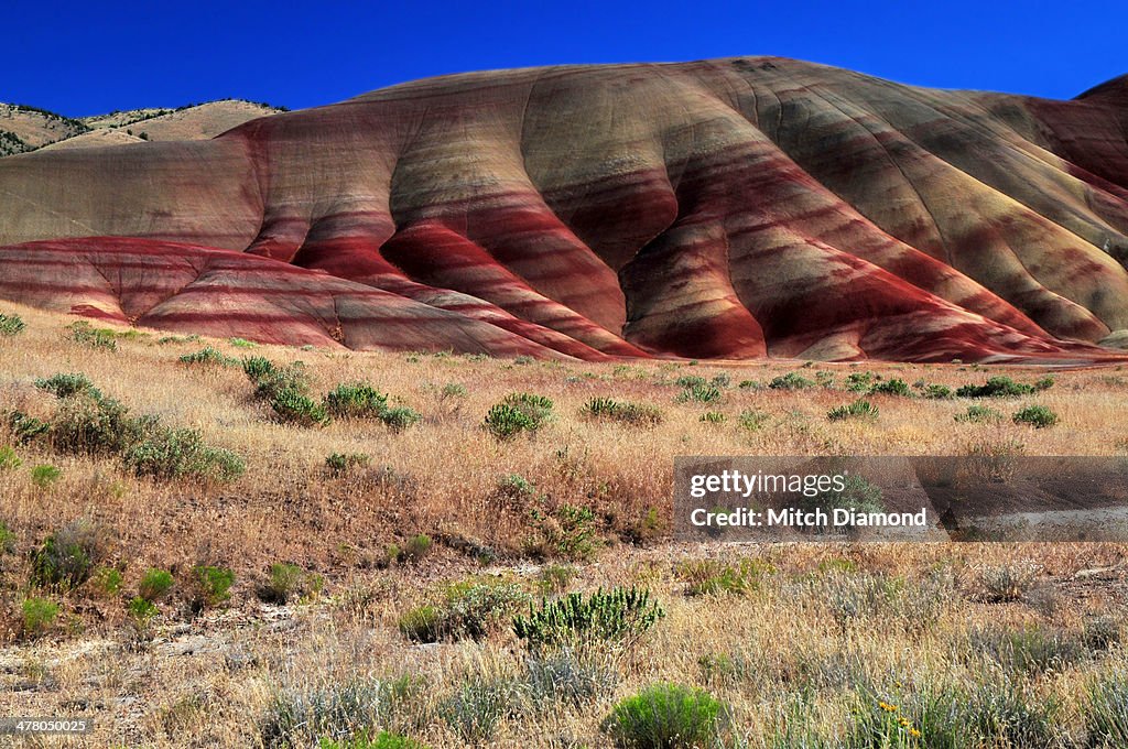 Colorful landscape of the Painted Hills