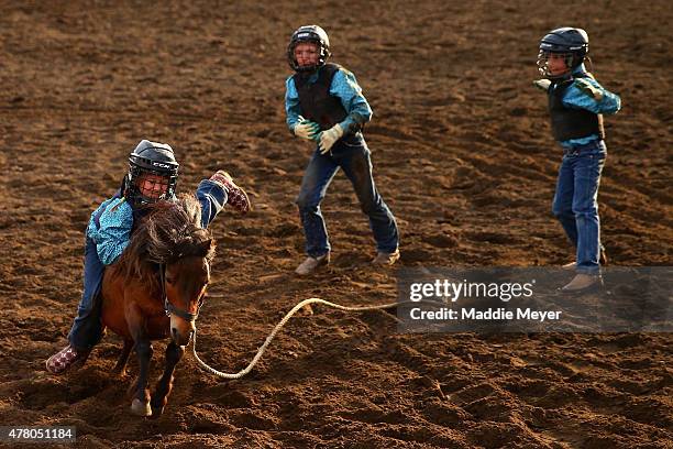 35 Wild Pony Race Stock Photos, High-Res Pictures, and Images - Getty ...