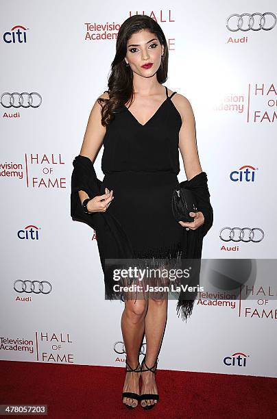 Actress Amanda Setton attends the Television Academy's 23rd Hall of Fame induction gala at Regent Beverly Wilshire Hotel on March 11, 2014 in Beverly...