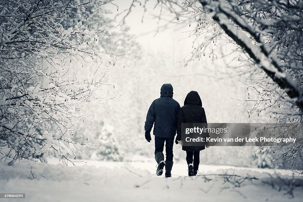 A Stroll in the Snow