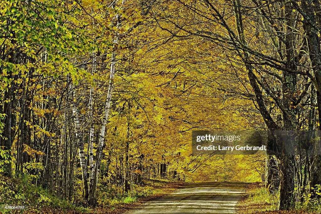 Fall Color in Peacham Vermont