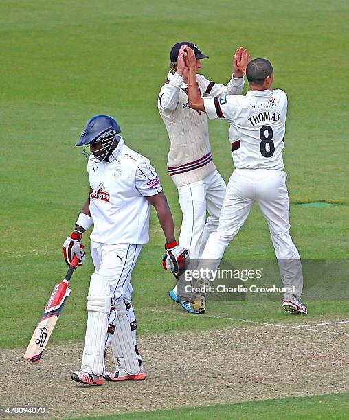 Alfonso Thomas of Somerset celebrates with team mates after taking the wicket of Michael Carberry of Hampshire during the the LV County Championship...