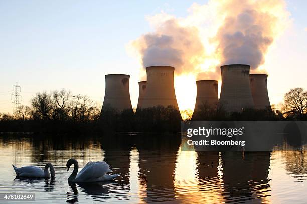 Swans swim on a lake close to Drax Power Station, operated by Drax Group Plc, in Selby, U.K., on Tuesday, March 11, 2014. Drax Group Plc, the...