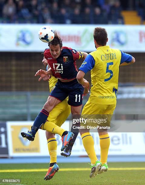 Alberto Gilardino of Genoa CFC competes with Michele Canini of Chievo Verona during the Serie A match between AC Chievo Verona and Genoa CFC at...