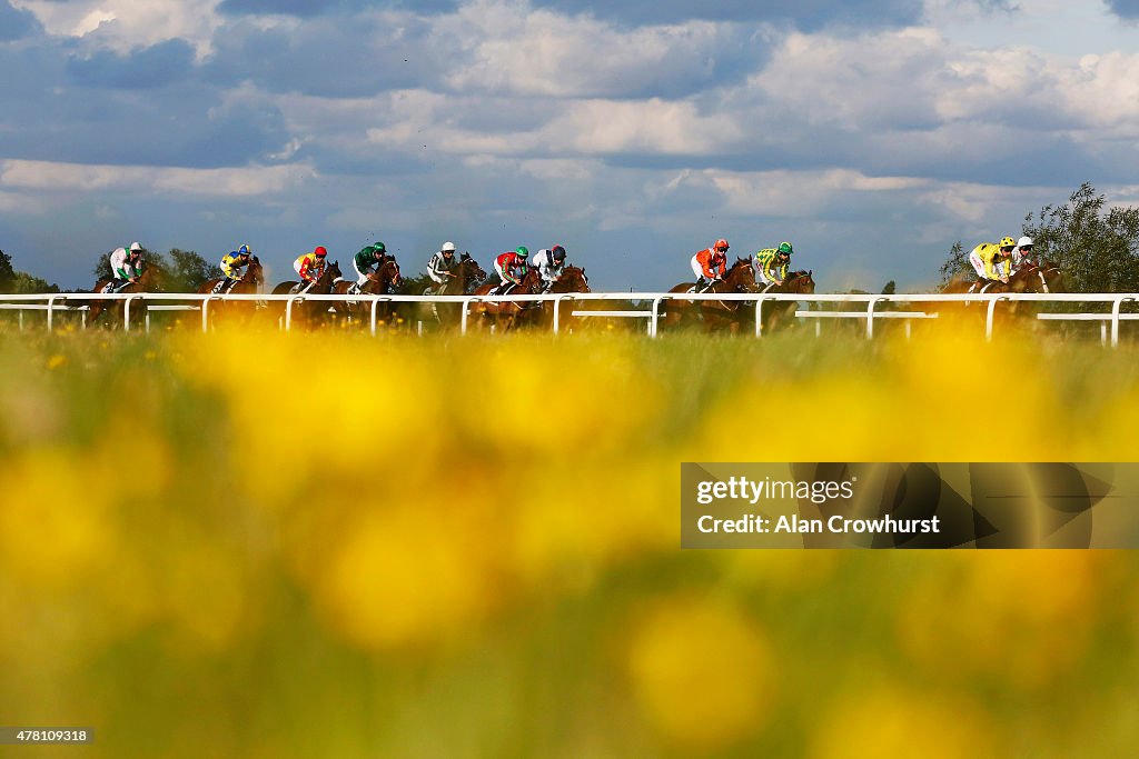 Windsor Races