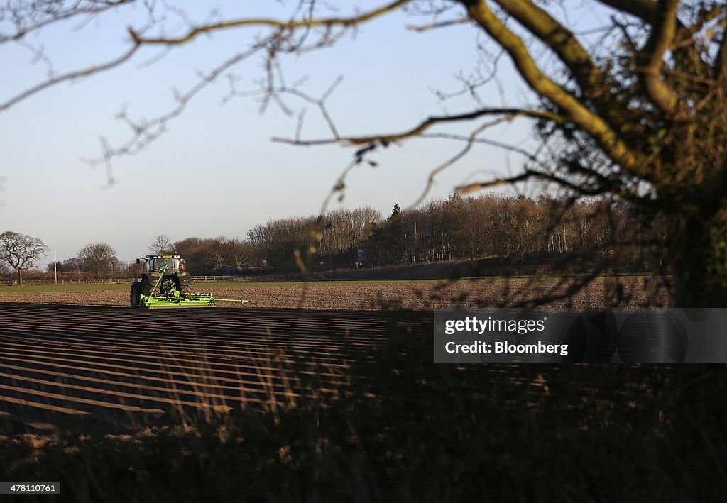 Agricultural Field Preparation Ahead Of Seed Sowing