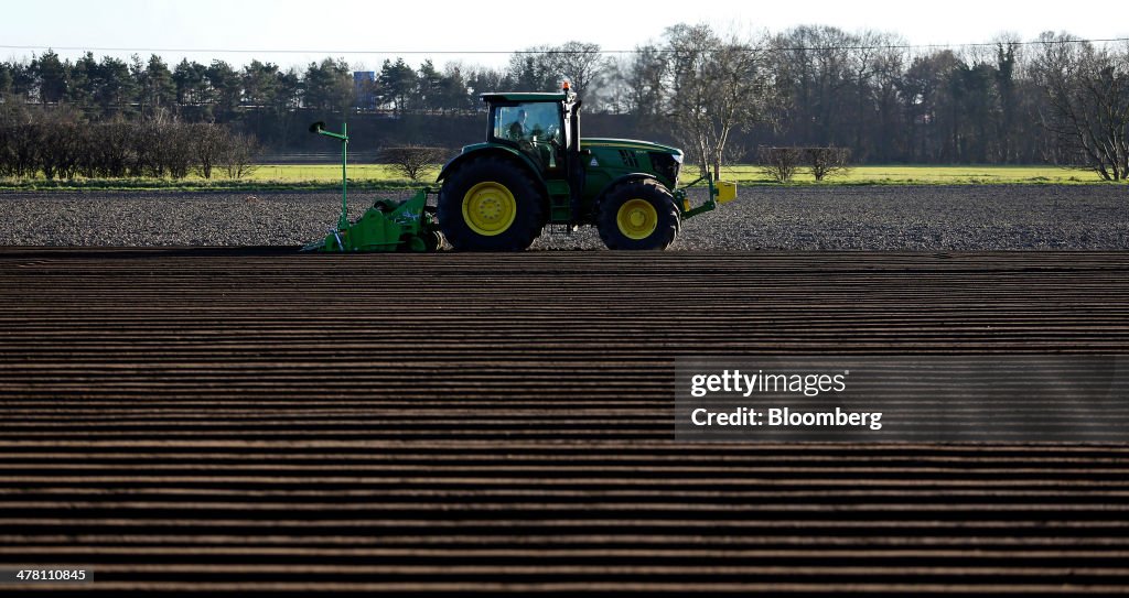 Agricultural Field Preparation Ahead Of Seed Sowing