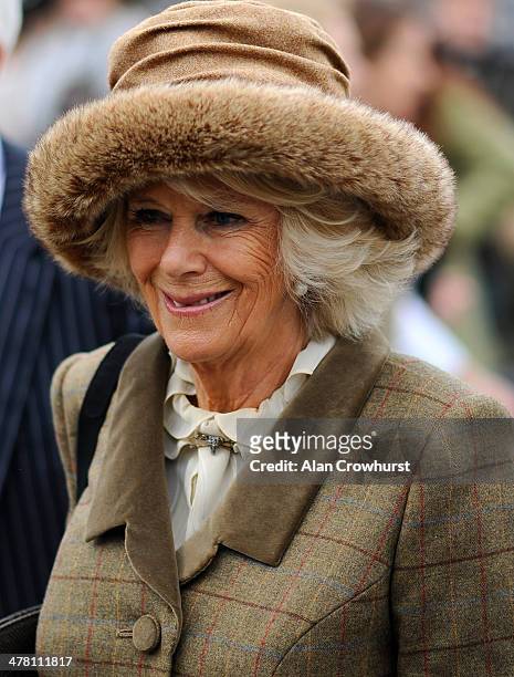 Camilla, Duchess of Cornwall arrives at Cheltenham racecourse on March 12, 2014 in Cheltenham, England.