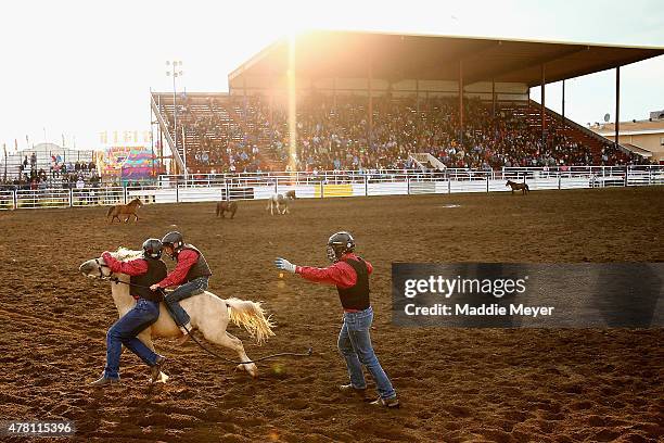 Wild Pony Racing Rodeos Wainwright Alberta Photos and Premium High Res Pictures - Getty Images