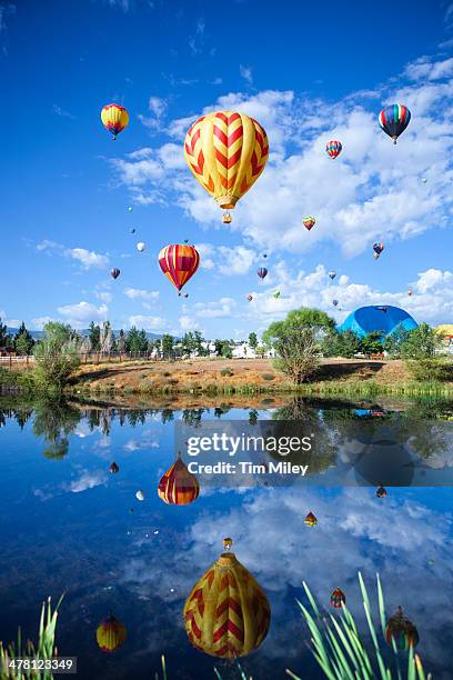 hot air balloons rising over a pond - reno nevada fotografías e imágenes de stock