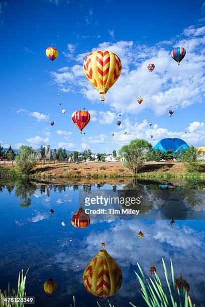 hot air balloons rising over a pond - nevada stock pictures, royalty-free photos & images