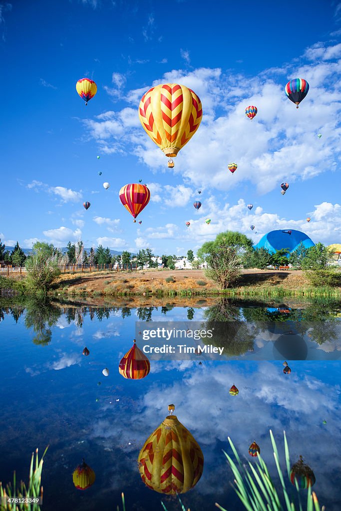 Hot Air Balloons Rising Over a Pond