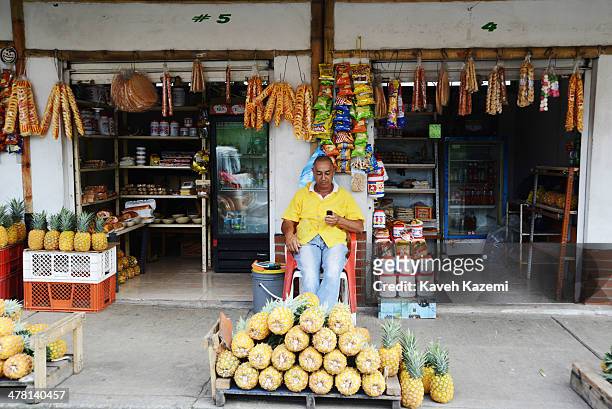 Man sits in front of his shop selling pineapples on the road to Cartago on January 3, 2014 in in Pereira, Colombia.
