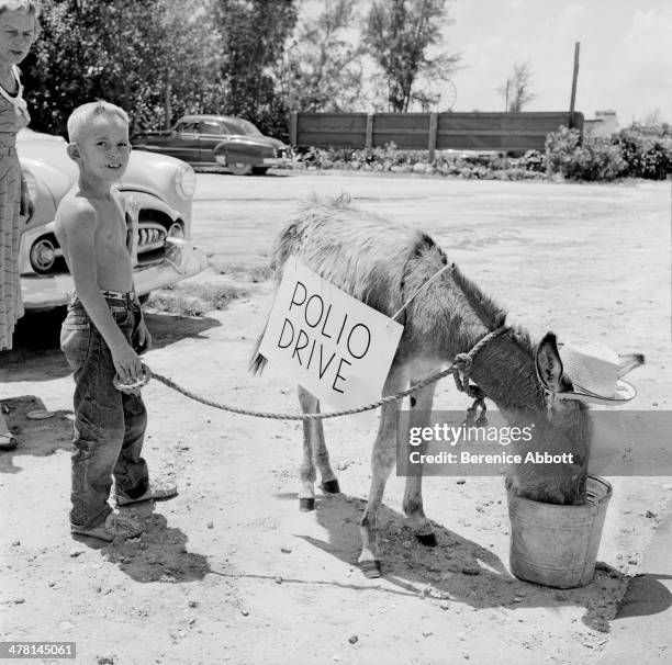 Young boy with donkey, Broward County Polio Drive, Dania, Florida, United States, 1954.