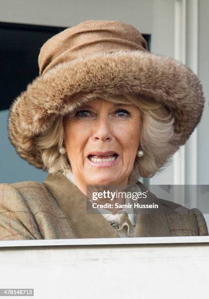 Camilla, Duchess of Cornwall watches the racing on day 2 of The Cheltenham Festival at Cheltenham Racecourse on March 12, 2014 in Cheltenham, England.