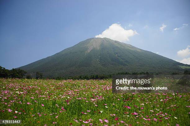 mt daisen - tottori prefecture stock pictures, royalty-free photos & images