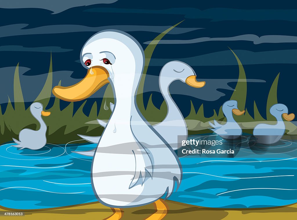 An ugly duckling in water