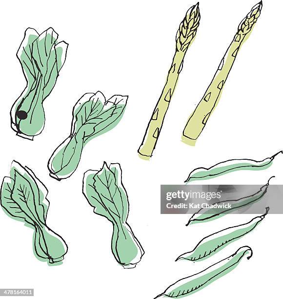 vegetables against white background - bok choy stock illustrations