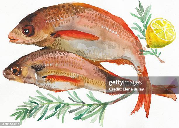 fish against white background with lemon slice and herbs - white fish with lemon stock illustrations