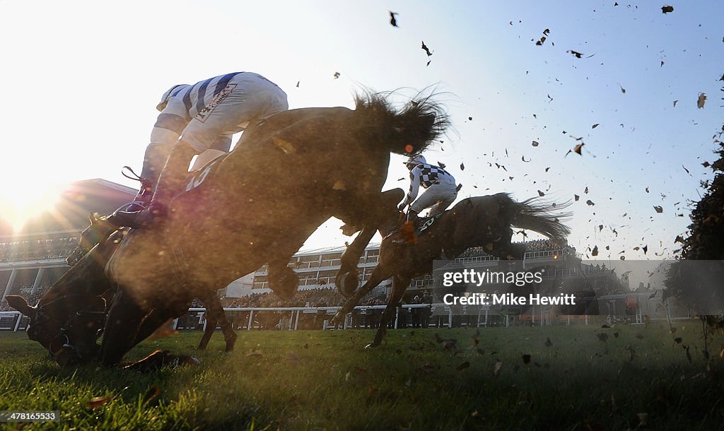 Cheltenham Festival - Ladies Day