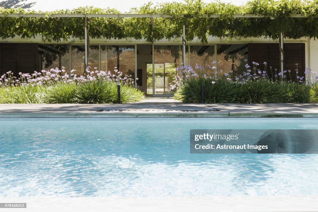 Modern house and swimming pool