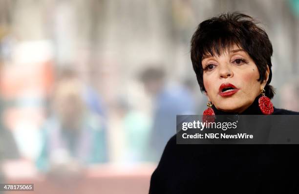 Liza Minnelli appears on NBC News' "Today" show March 12, 2014 --