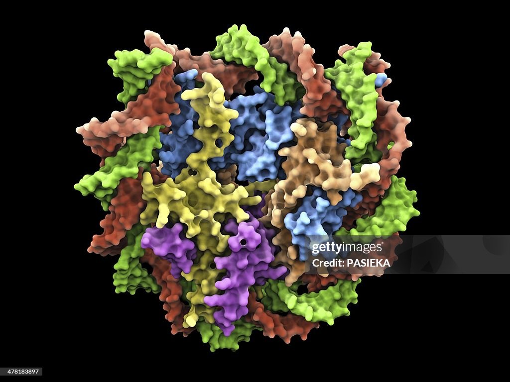 DNA nucleosome, molecular model