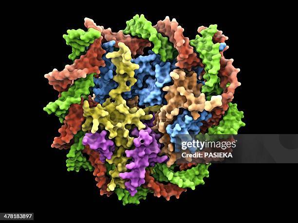 dna nucleosome, molecular model - proteomics stock illustrations