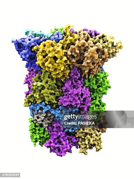 yeast enzyme, molecular model - enzyme stock illustrations