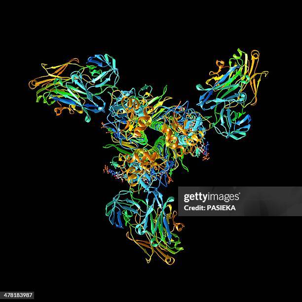 haemagglutinin viral surface protein - virus mutation stock illustrations