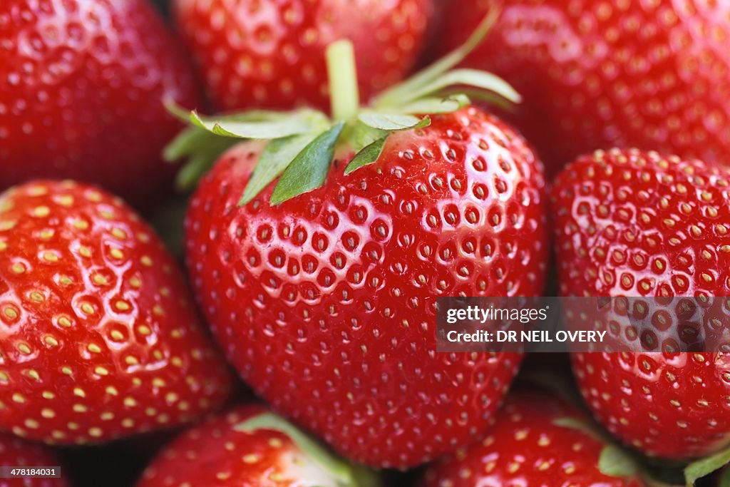 Strawberries