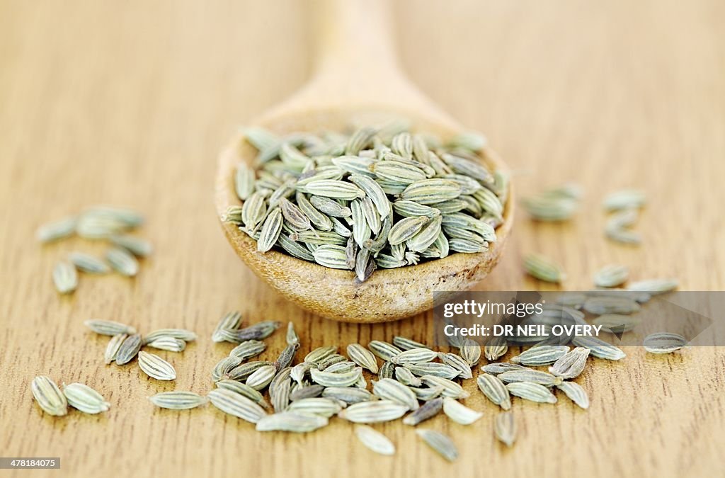 Fennel seeds