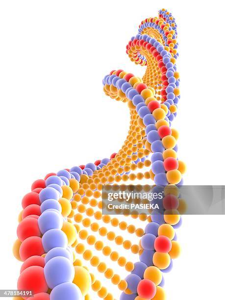 Dna Double Helix Model Photos and Premium High Res Pictures - Getty Images