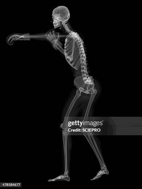 Boxer Skeleton See Through Boxers Photos and Premium High Res Pictures - Getty Images