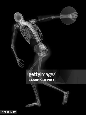 Skeleton throwing discus, artwork Skeleton throwing discus, artwork