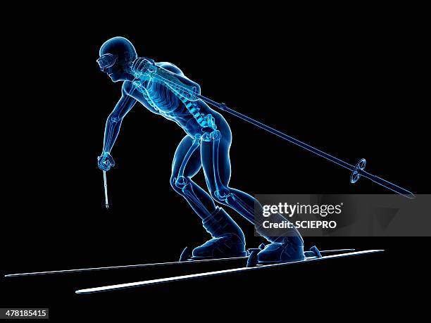 male skeleton, artwork - ski stock illustrations